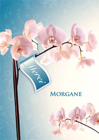L'orchidée rose