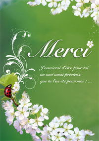 Merci de la coccinelle