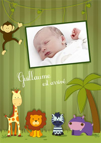 Faire part naissance