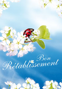 Bon Rétablissement