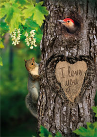 I Love You nature plein de verdure