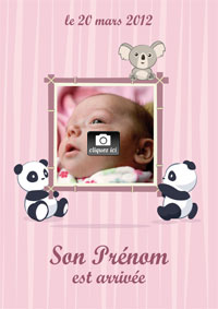 Faire part naissance
