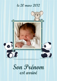 Faire part naissance