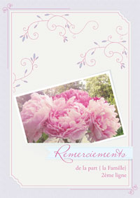 Remerciements