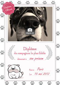 Compagnon le plus fidèle