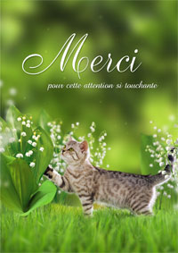 Merci