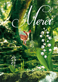 Merci