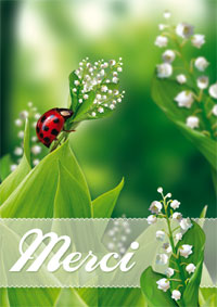 Merci