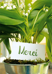 Joli muguet, merci