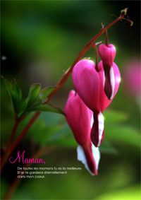 Bonne fête Maman