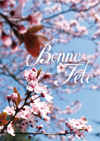 Bonne fête, cerisier en fleurs