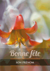 Bonne fête