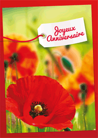 Joyeux Anniversaire
