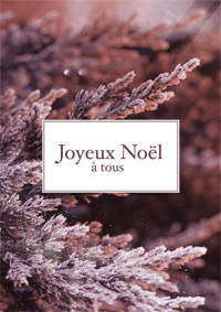 Beauté de l'hiver, joie de Noël