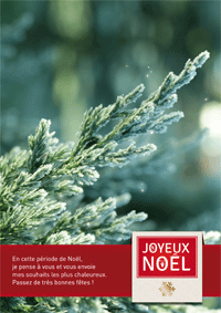 Conifère symbole de vie
