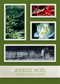Ambiance hivernale pour un Joyeux Noël