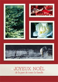 Belles images hivernales