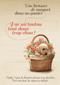 Une brassée de muguet offert par un chiot trop chou