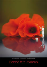 Bonne fête Maman, coquelicots poétiques