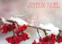 Joyeux Noël