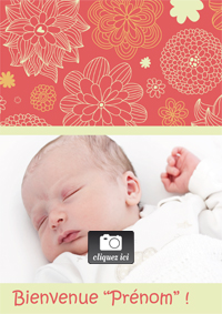 Faire part naissance