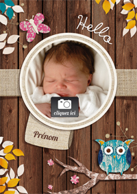 Faire part naissance