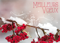 Meilleurs Voeux