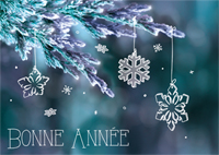 Bonne Année
