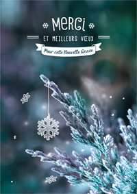 Merci et Meilleurs Voeux