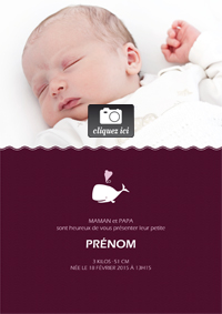 Faire-part naissance
