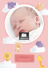 Faire-part de naissance bébé fille