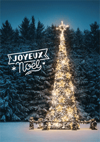 Sapin illuminé