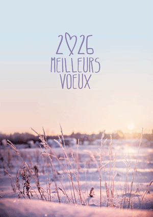 Meilleurs Voeux