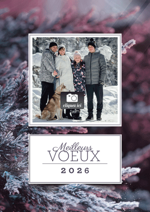 Meilleurs Voeux 2026