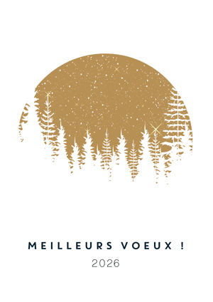 Meilleurs Voeux
